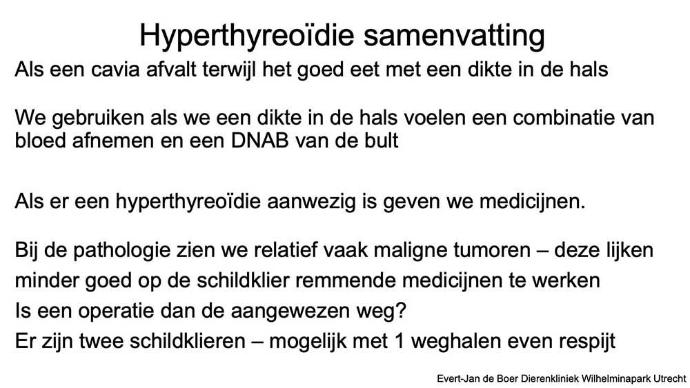 Samenvatting van een schildklier behandeling bij een cavia